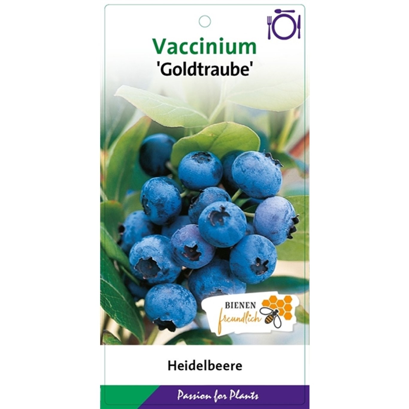 Trädgårdsblåbär – Vaccinium corymbosum 'Goldtraube 23' - C5 40-60 CM